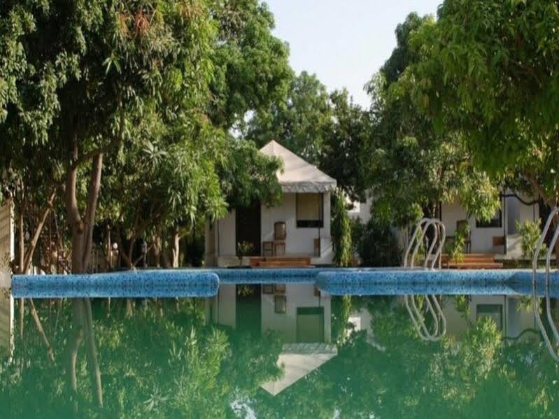 Shree Vilas Orchid - A Pichola Lake Facing Resort Ουνταϊπούρ Εξωτερικό φωτογραφία